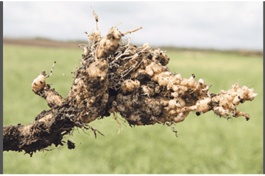 Screen Shot 2019-02-10 at 9.23.40 PM